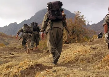 Tunceli'de 10 terörist etkisiz hale getirildi