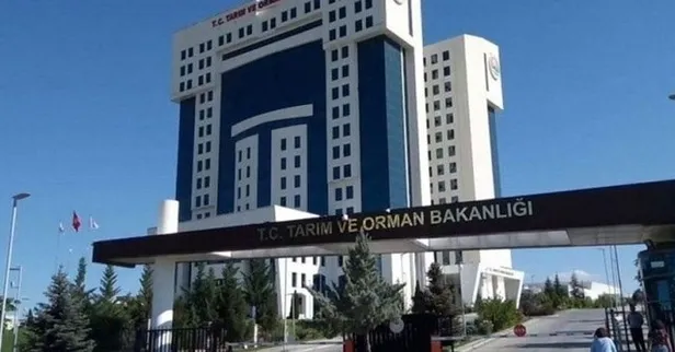 1.800 personel alımı yapılacak! Tercihler başlıyor! Tarım ve Orman Bakanlığı personel alımı ne zaman? Branş dağılımı...