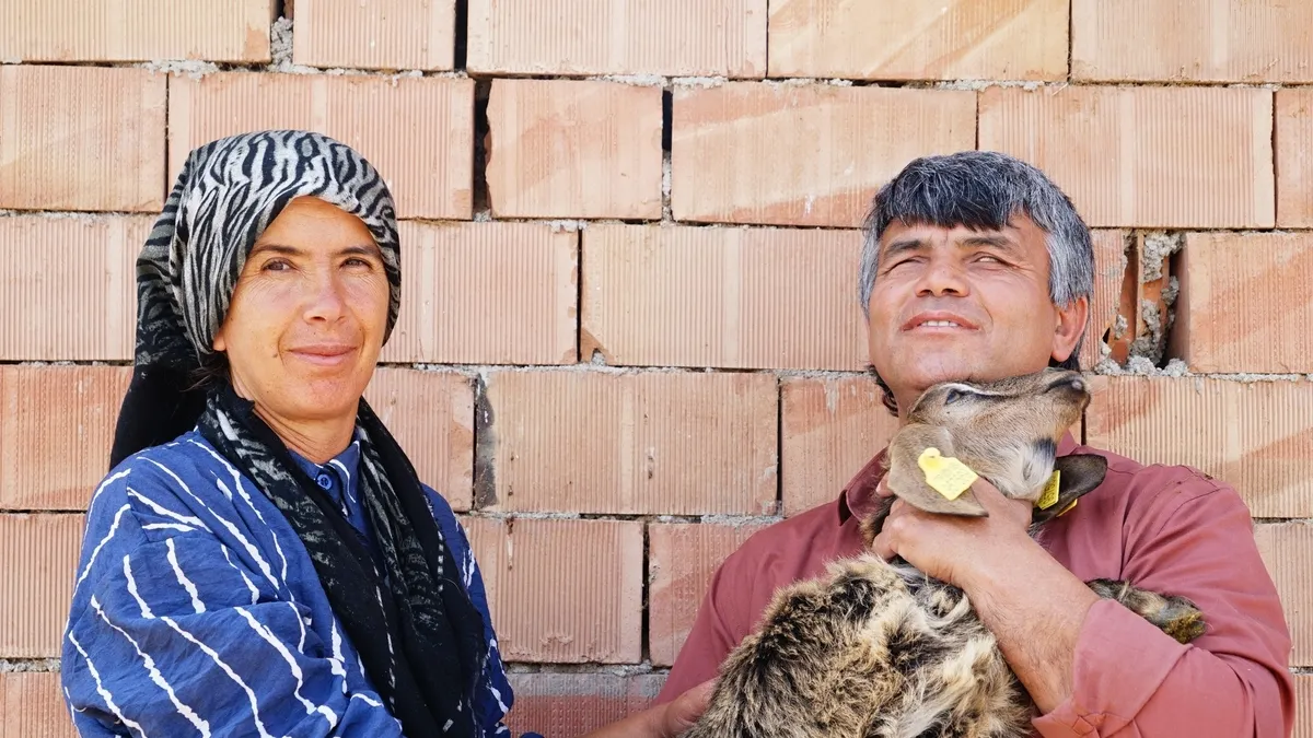 Görme engelli çiftten hayran bırakan azim! Tarlada çalışıp dağda hayvan otlatmak onlar için çocuk oyuncağı