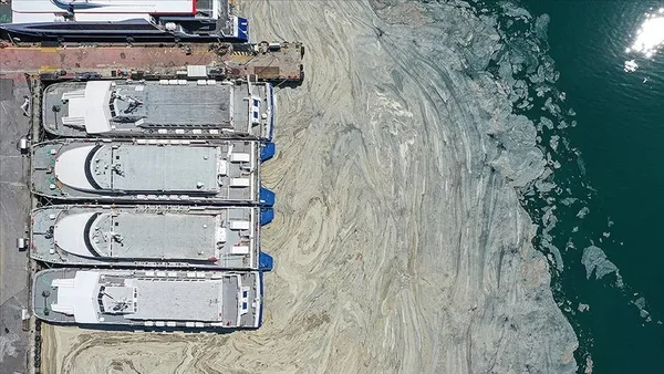 Son dakika | Müsilajla mücadelede yeni dönem! TBMM’de kabul edildi