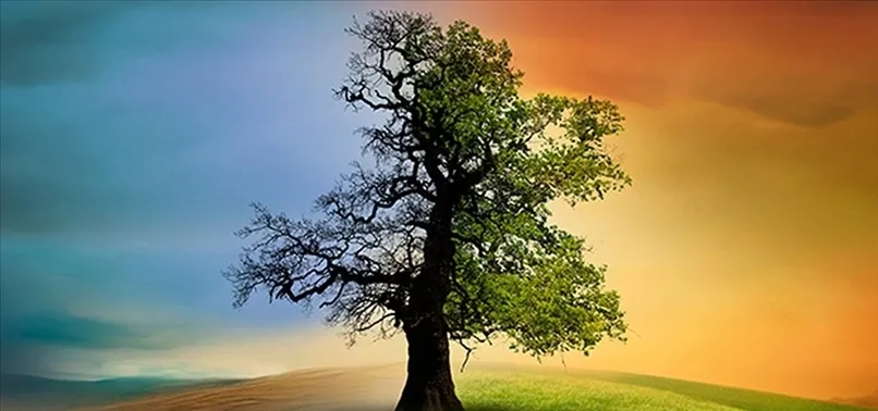 14 soruda İklim Kanunu! Vatandaştan karbon vergisi mi alınacak? Bakanlık merak edilenleri açıkladı