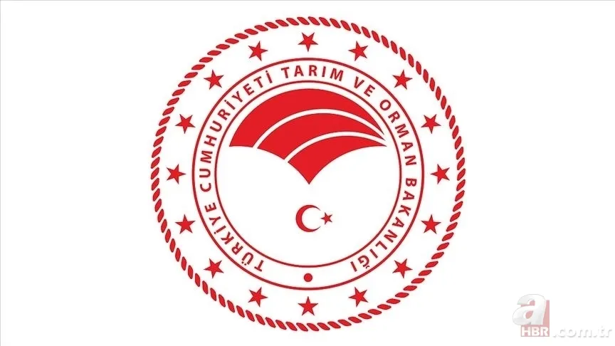 Tarım ve Orman Bakanlığı işçi alımı branş ve kontenjanlar | 200 sözleşmeli personel alımı başvuruları nereden yapılır? 3