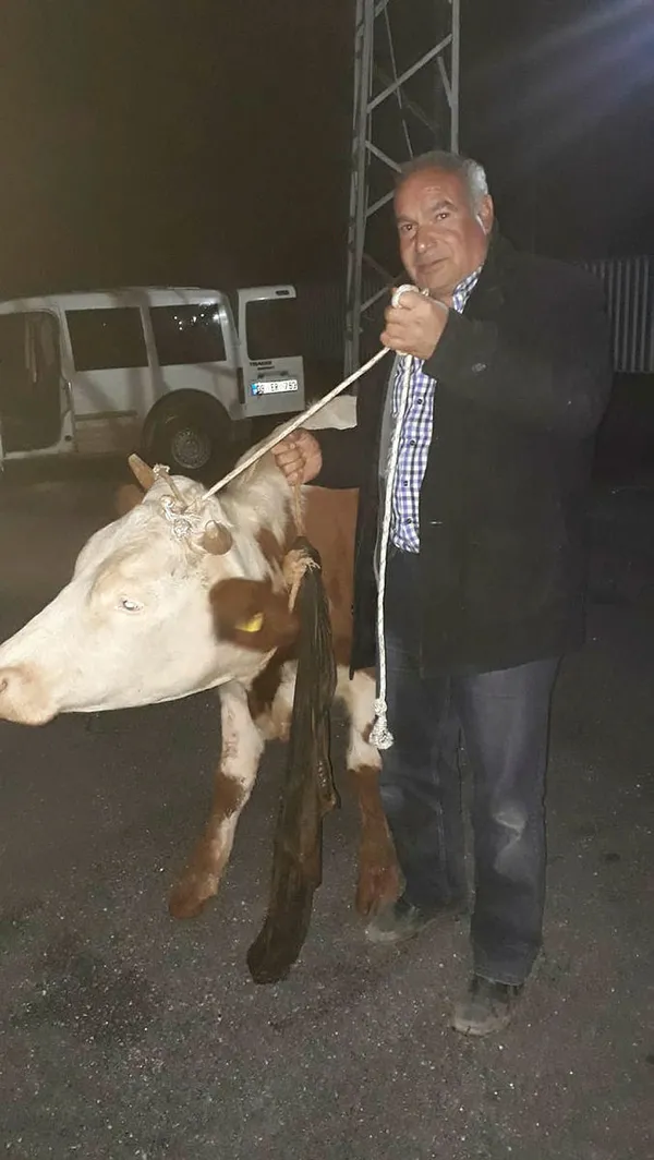 Şanlıurfa'da polisler şüphelendikleri aracı durdular, gördüklerine şok oldular - 1