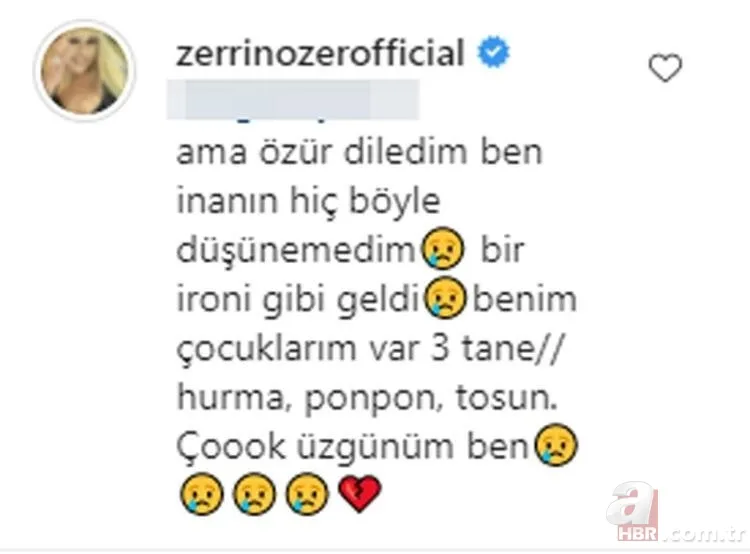 Zerrin Özer’in son hali şoke etti! Yüzünü gören tanıyamadı 3