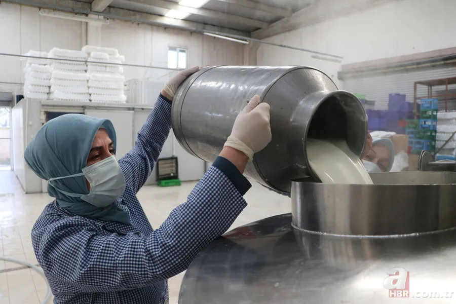 200 litreden 7 tona uzanan dev yolculuk: Sofraların lezzeti onlara emanet 1