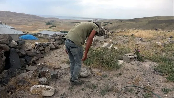 Van'da bir mahalleyi istila ettiler! İncelemeye gelen ekipler şaşkına döndü!