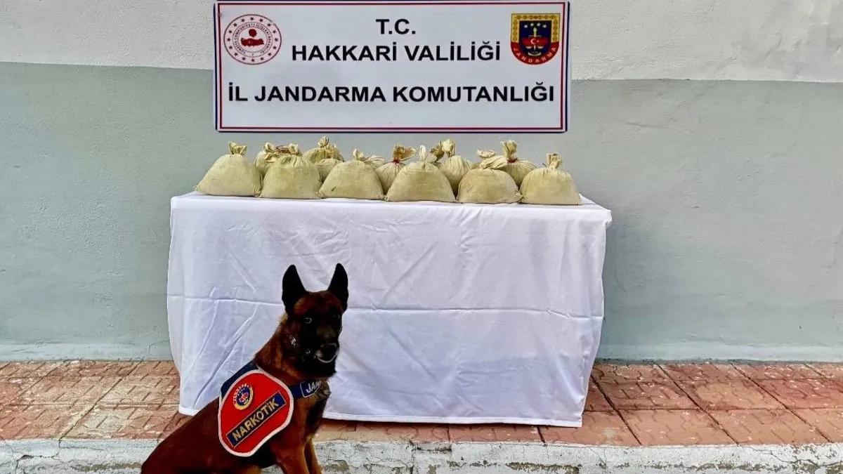 Hakkari'de uyuşturucu operasyonu: 15 kilo toz esrar ele geçirildi