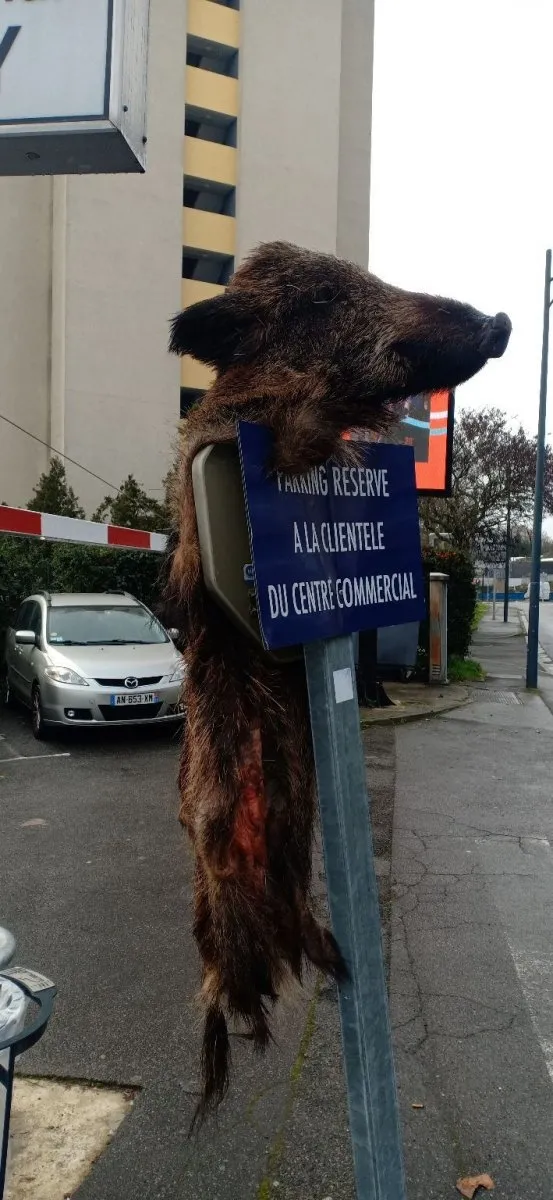 Fransa'da Müslümanlara alçak saldırı! Hadlerini iyice aştılar - 1