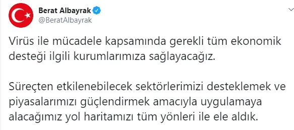 Hazine ve Maliye Bakanı Berat Albayrak'tan koronavirüs desteği - 2