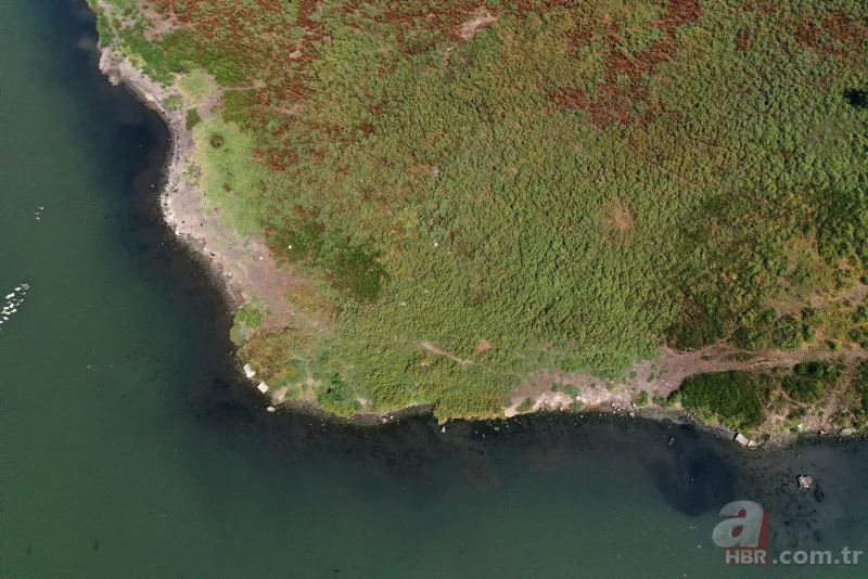 CHP'li İBB'nin Haliç yalanı! Kirlilik yine gün yüzüne çıktı 15