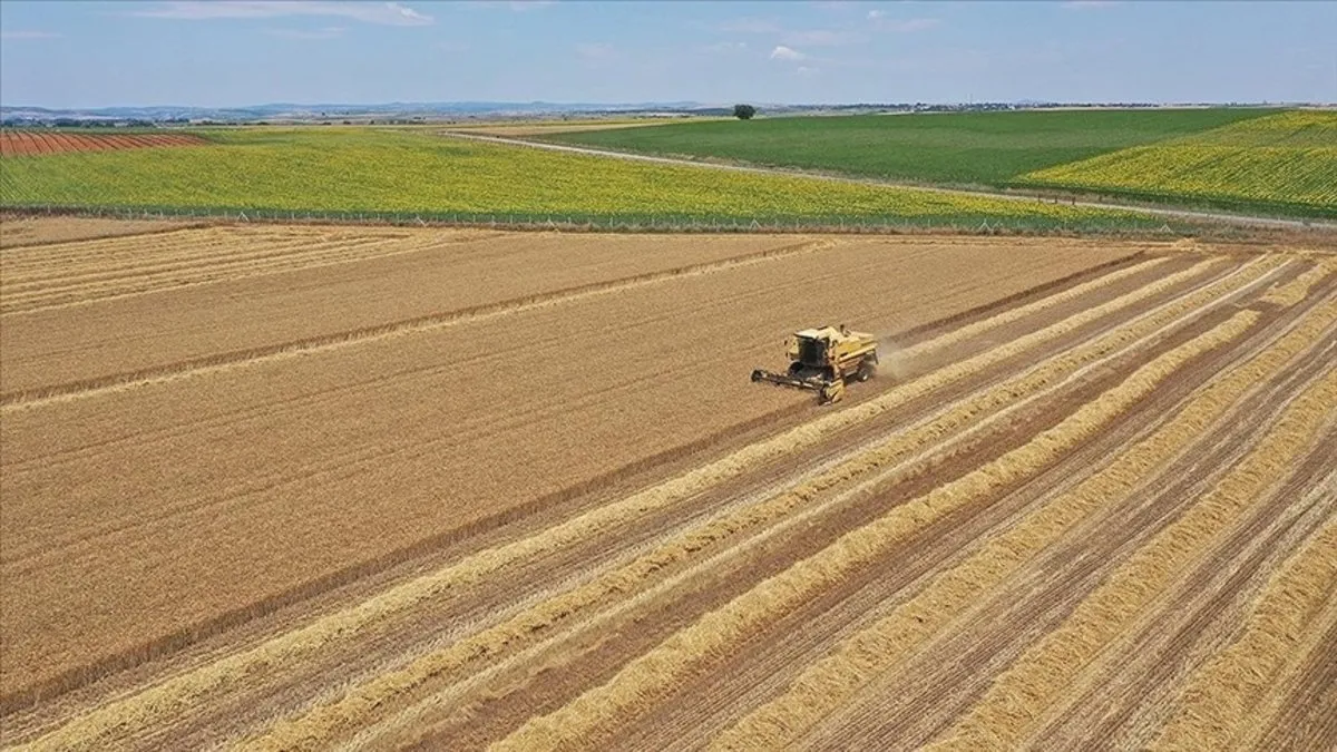 İşlenmeyen araziler kırsal ekonomiye can verecek