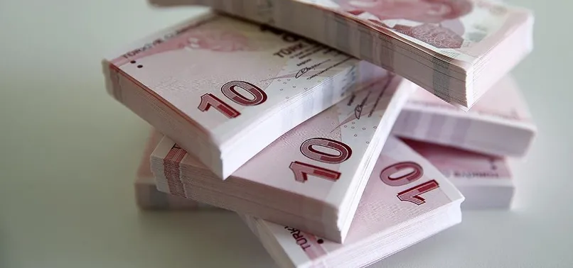Onlar da Türkiye Varlık Fonu'na aktarılıyor