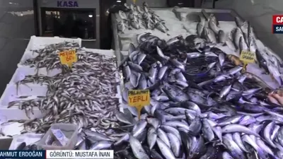 Tezgahlarda balık bolluğu yaşanıyor!