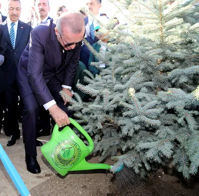 Başkan Erdoğan: 10 milyon fidan okul çağındaki evlatlarımız adına toprakla buluşuyor - 2