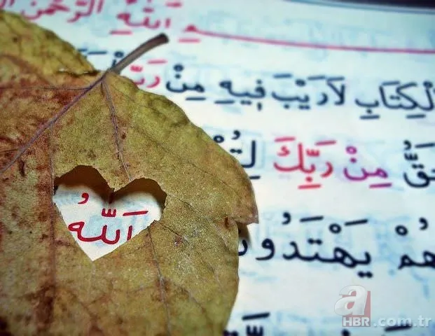 Günlük yapılabilecek 8 faziletli zikir 1