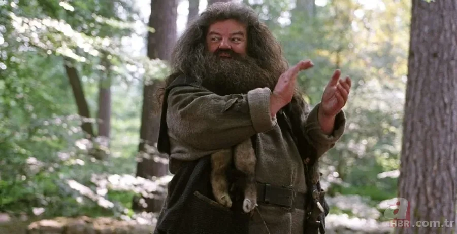 Harry Potter'ın yıldızı hayatını kaybetti 4