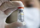 Son dakika: Türkiyede kaç kişi koronavirüs aşısı oldu? | Sağlık Bakanlığı anlık aşı takip sayfası