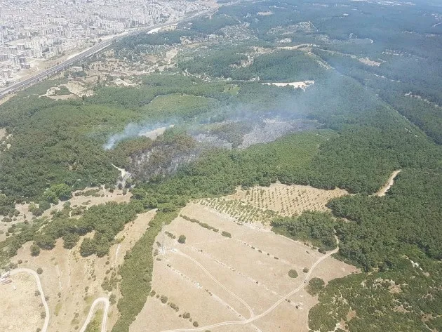 İzmir'de orman yangını! - 1