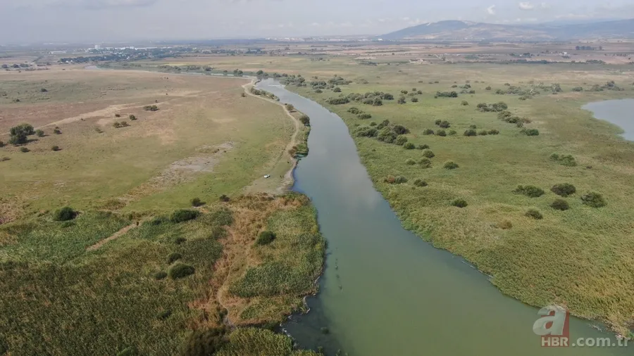 Uluabat Gölü yok olma tehlikesiyle karşı karşıya! 5