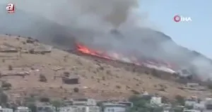 Türkbükü’nde makilik yangını