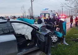 Sakarya'da feci kaza! Otomobile ok gibi saplandı