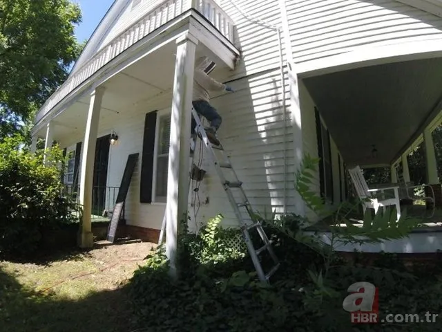 Evinin duvarından gelen garip sesler arttı! Termal kamerayla bakınca şoka girdi 7