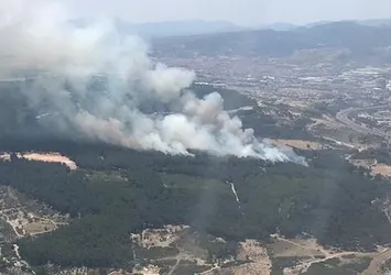 İzmir'de orman yangını!