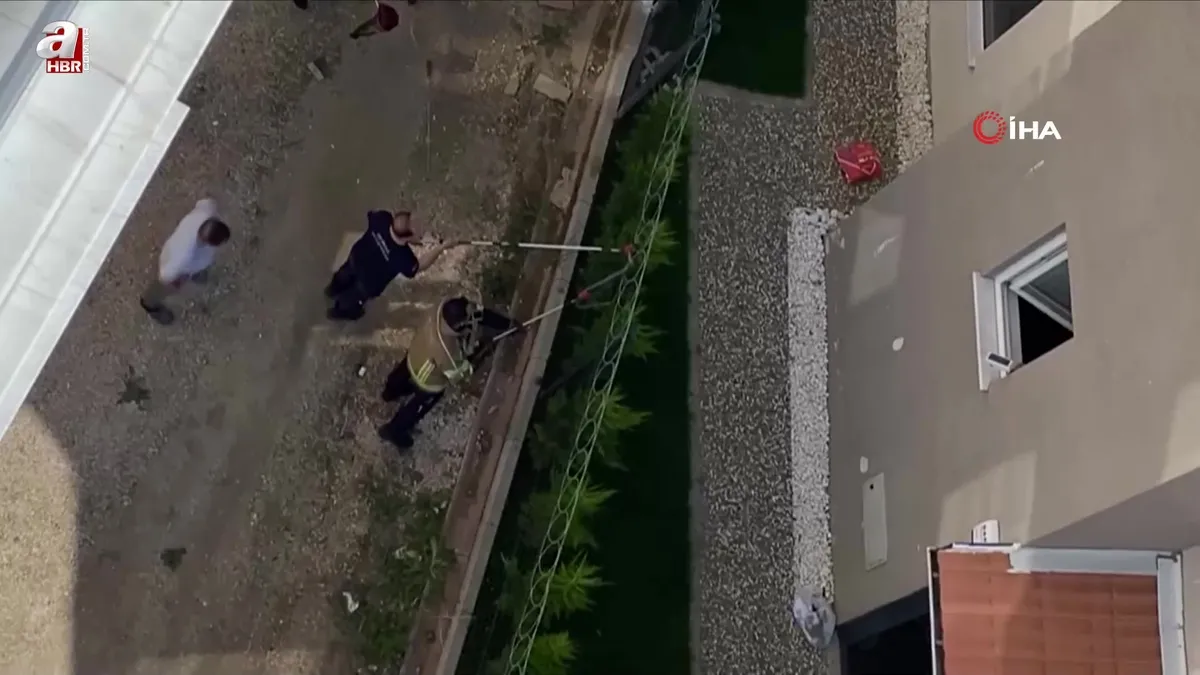 Camlardan tedirgin gözlerle izlediler! Tellere dolanan 1,5 metre boyundaki yılan korkuttu