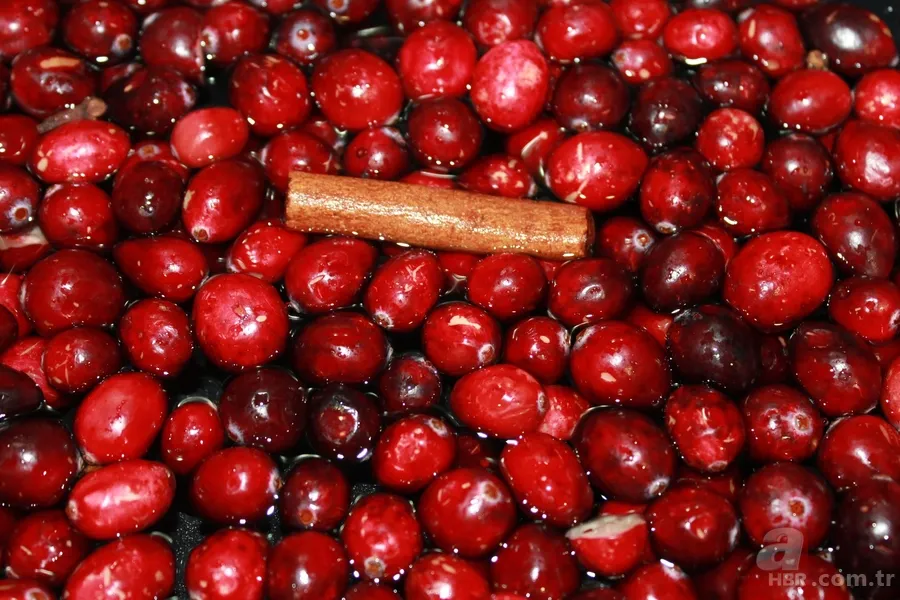 Osmanlı mutfağının şifa kaynağı! Kızılcık etkisi: C vitamini, antioksidan zengini 3