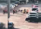 Pes dedirten görüntü!