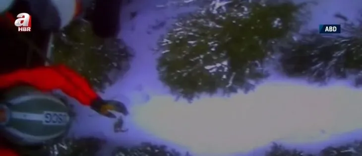 Kayakçı dehşeti yaşadı! Ayı saldırısında kafa travması geçirdi