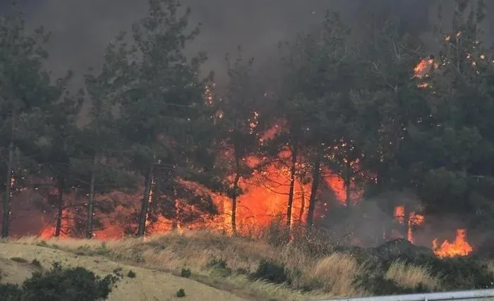 Orman yangınlarından daha tehlikeli sosyal medya yalanları! Bakan Yumaklı’dan dikkat çeken açıklama