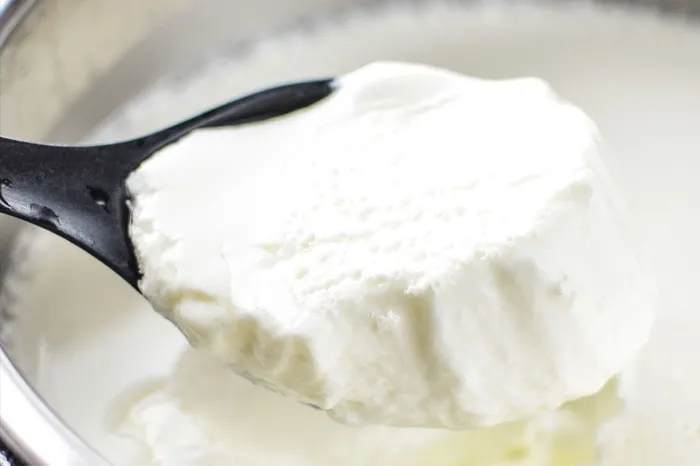 Mayam yok diye üzülmeyin! Yoğurdu taş gibi yapıyor! Sütün içine 15 tane...