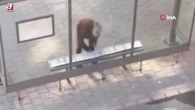 Mardin’de duyarlı vatandaş kamerada