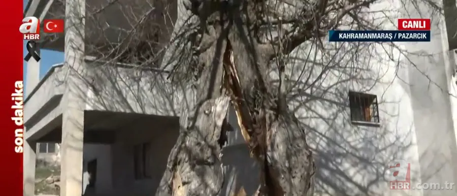 Görenler hayrete düştü! DEPREMİN merkez üssü Kahramanmaraş Pazarcık'ta ÇARPICI manzara... A Haber muhabiri: Meslek hayatımda ilk kez... 8