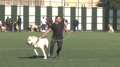 Kıyasıya mücadele! Podyuma çıktılar