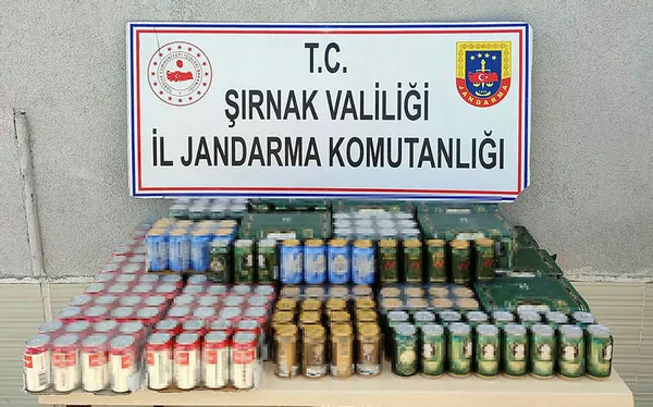 Şırnak’ta terörün finans kaynaklarına operasyon: 61 gözaltı - 1