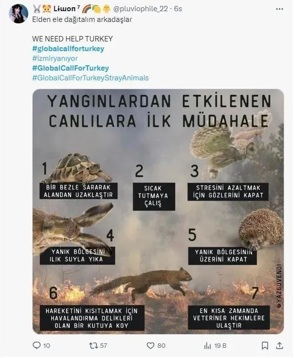 1723881750314.jpeg İstismarcılar her yangında olduğu gibi yine sahnede! Başka ülkedeki yangınları paylaşıp... - 4