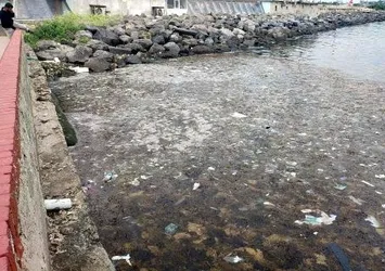 Marmara Denizi'nde istila! Korkutan uyarı | Sayıları arttı uzmanlar nedenini açıkladı