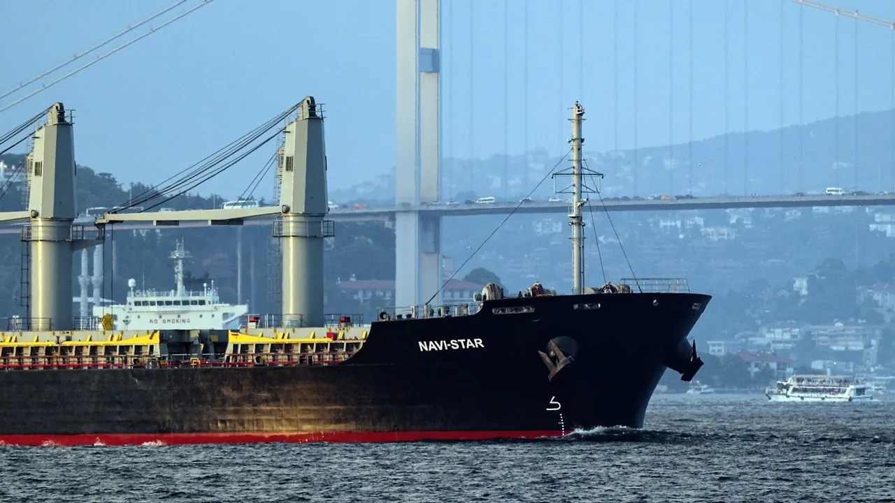 Başkan Erdoğan himayesinde uzatılmıştı: Yeni tahıl anlaşması sonrası ilk gemi Afrika'ya