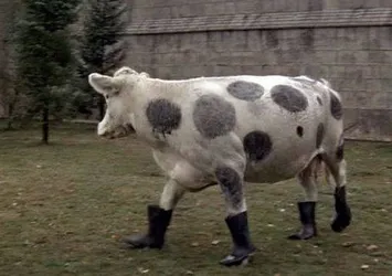 Birisi bunu açıklasın!