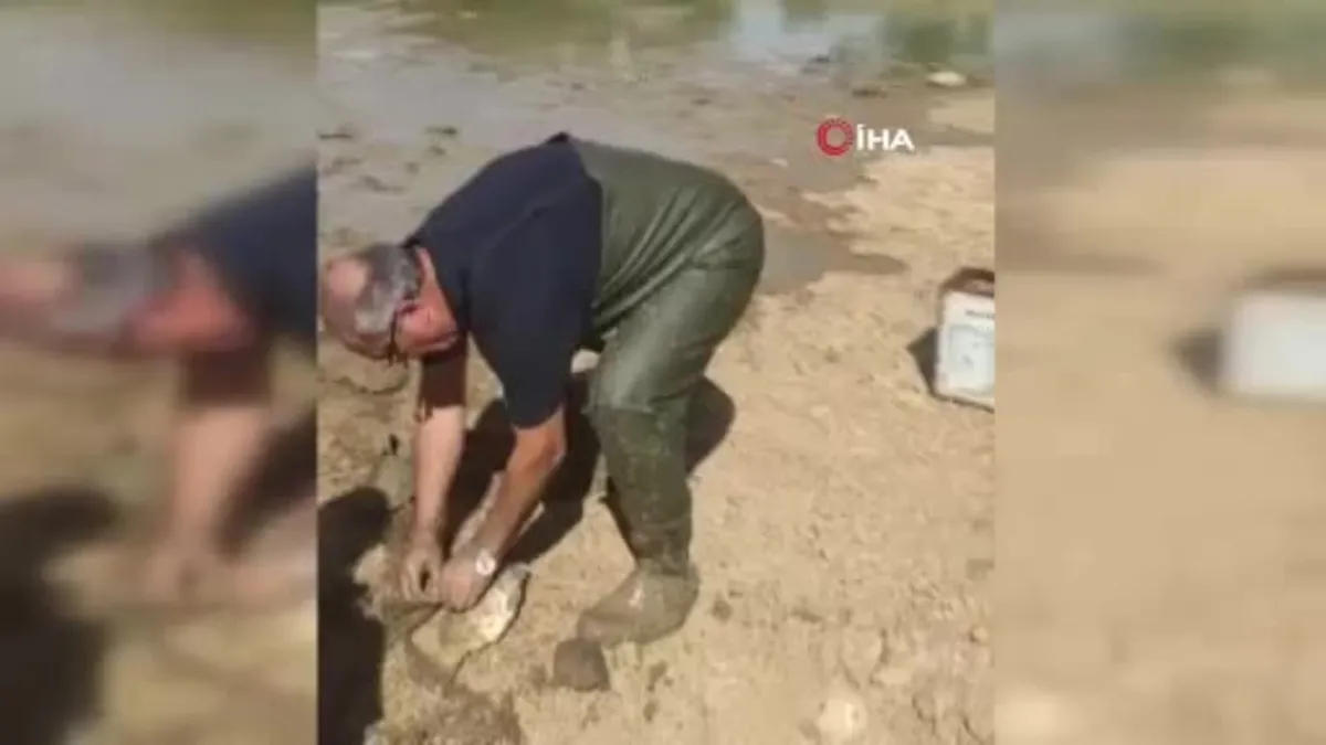 Kuruyan gölette balık kurtarma operasyonu