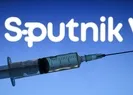 Sputnik V aşısı ne zaman gelecek?