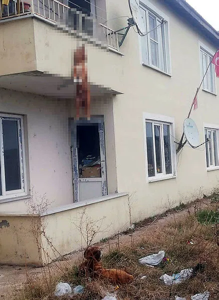 Edirne’de korkunç olay! Köpeği balkona bağlayıp ölümüne neden oldular - 6