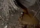 İBB çöp suyunu Haliçe döküyor! İmamoğlundan çevre katliamı