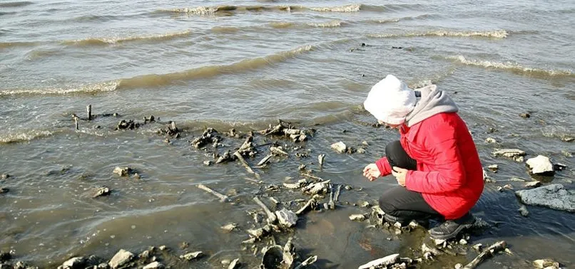 Van Gölü'nde sular çekilince insan kemikleri ortaya çıktı