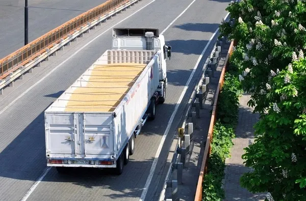 Pandemi, Rusya ve Ukrayna savaşında büyük vurgun! Servetlerine servet kattılar - 5