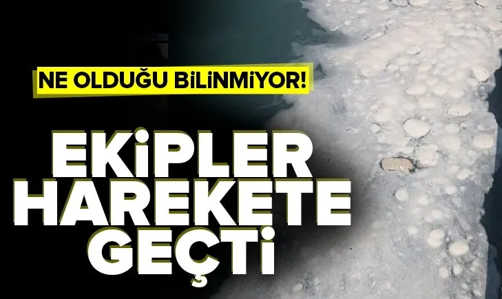 Datça’da sahildeki köpük tedirginliğe yol açtı
