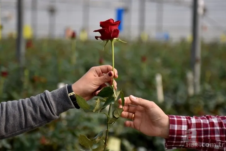 Nişanlıya, sevgiliye, eşe, flörte, erkeğe ve kadına en güzel duygu yoğunluklu Sevgililer Günü mesajları...SEVGİLİYE FARKLI SEVGİLİLER GÜNÜ MESAJLARI 5
