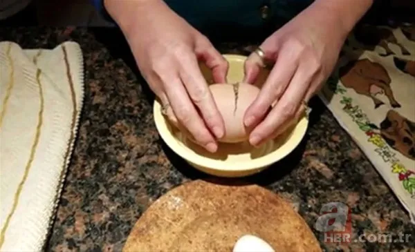 Kümese girdi başına talih kuşu kondu! Tavuğu servet yumurtladı 25